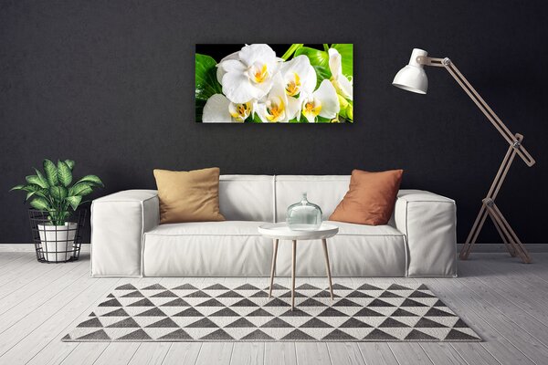Obraz Canvas Orchidea kvety príroda 100x50 cm