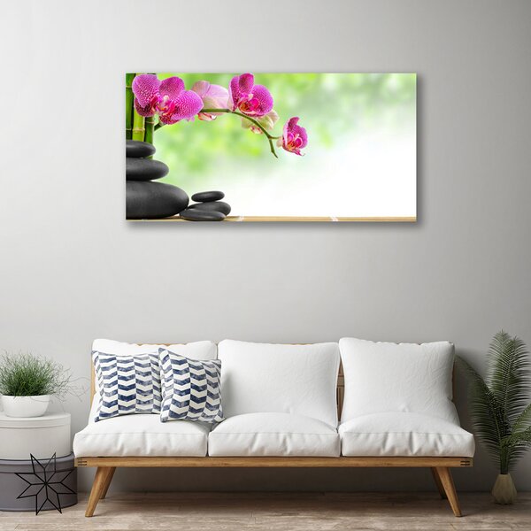 Obraz Canvas Bambusové výhonky kamene zen kúpele 100x50 cm