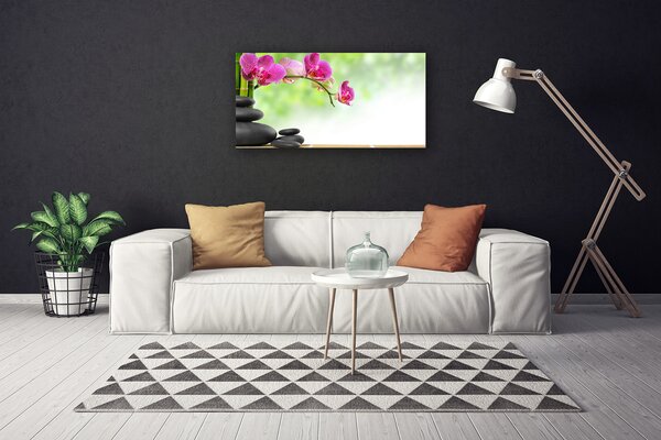 Obraz Canvas Bambusové výhonky kamene zen kúpele 100x50 cm