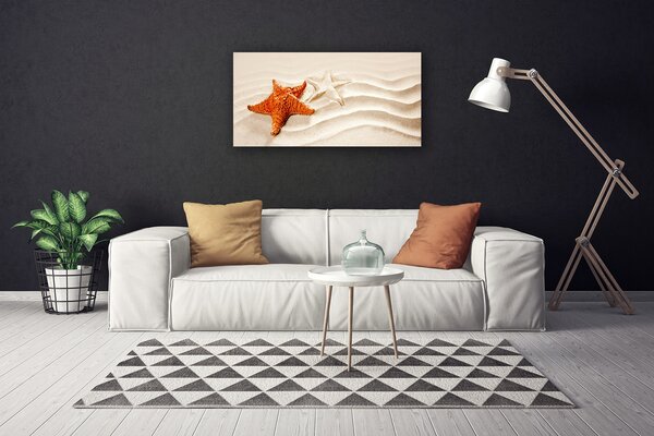 Obraz Canvas Hviezdice na piesku pláž 100x50 cm
