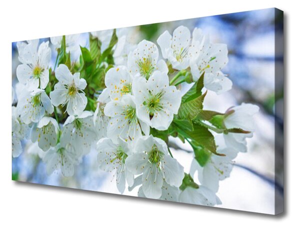 Obraz Canvas Kvety strom listy príroda 100x50 cm