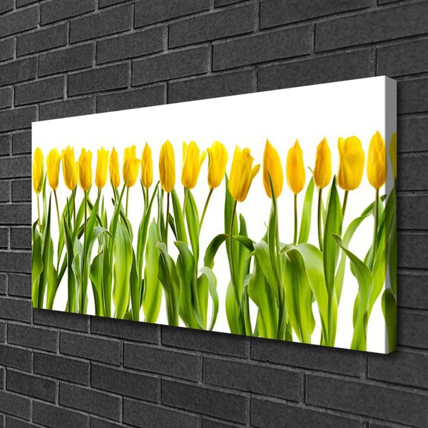 Obraz Canvas Tulipány kvety príroda 100x50 cm