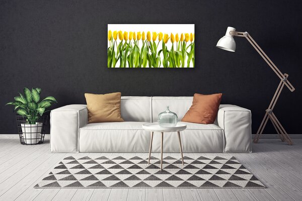 Obraz Canvas Tulipány kvety príroda 100x50 cm