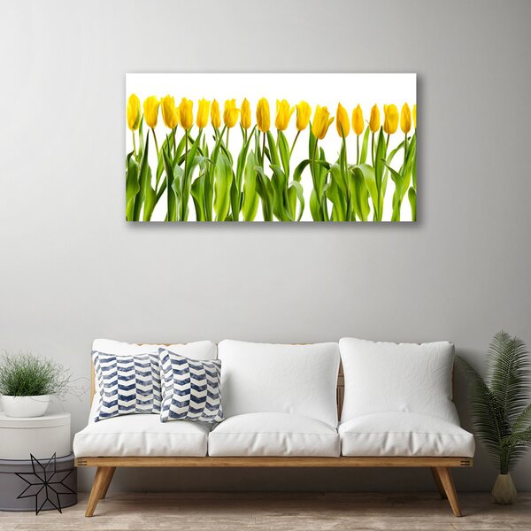 Obraz Canvas Tulipány kvety príroda 100x50 cm