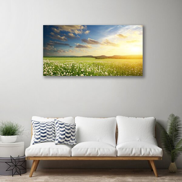 Obraz Canvas Lúka kvety príroda 100x50 cm