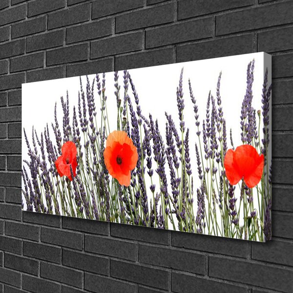 Obraz Canvas Kvety maky pole trávy 100x50 cm