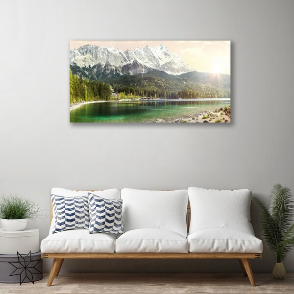 Obraz Canvas Hory les jazero príroda 100x50 cm