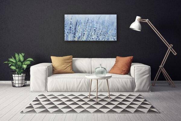 Obraz Canvas Kvety klasy lúka príroda 100x50 cm