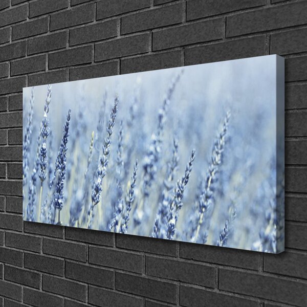 Obraz Canvas Kvety klasy lúka príroda 100x50 cm