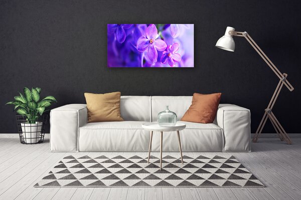 Obraz Canvas Fialové kvety príroda 100x50 cm
