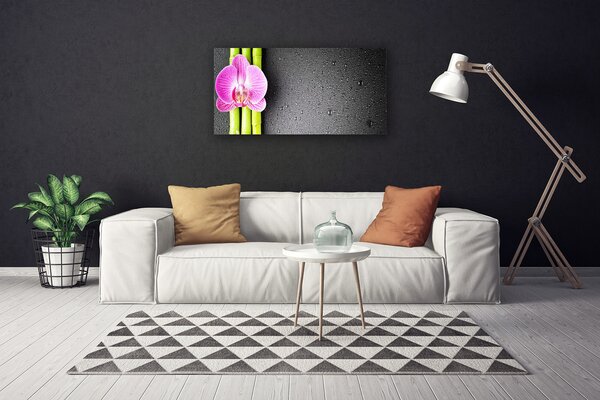 Obraz Canvas Bambus kvet orchidea 100x50 cm