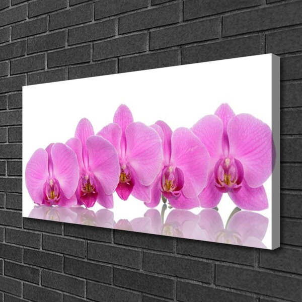 Obraz Canvas Ružová orchidea kvety 100x50 cm