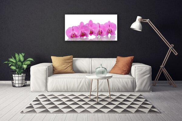 Obraz Canvas Ružová orchidea kvety 100x50 cm