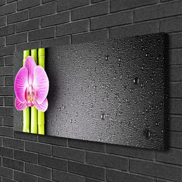 Obraz Canvas Bambus kvet orchidea 100x50 cm