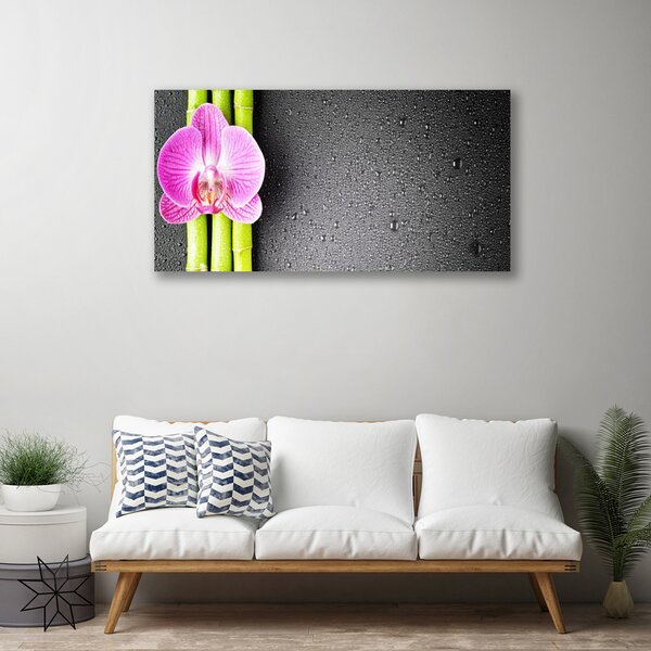 Obraz Canvas Bambus kvet orchidea 100x50 cm