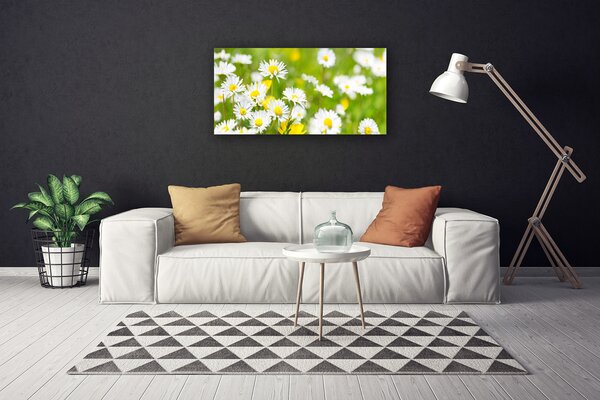 Obraz Canvas Sedmokráska kvet rastlina 100x50 cm