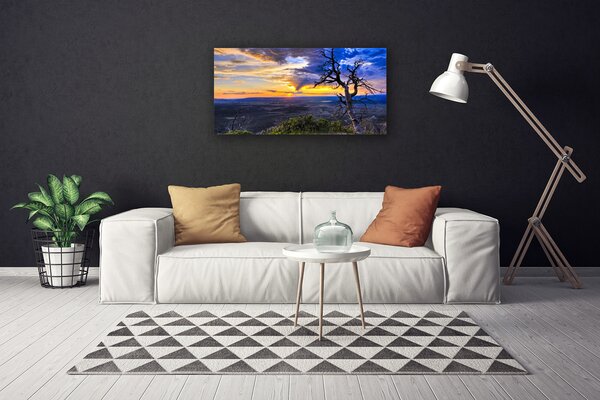 Obraz Canvas Strom zápas slnko 100x50 cm