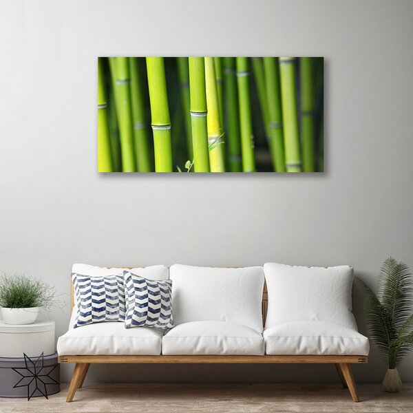 Obraz na plátne Bambus príroda rastlina 100x50 cm