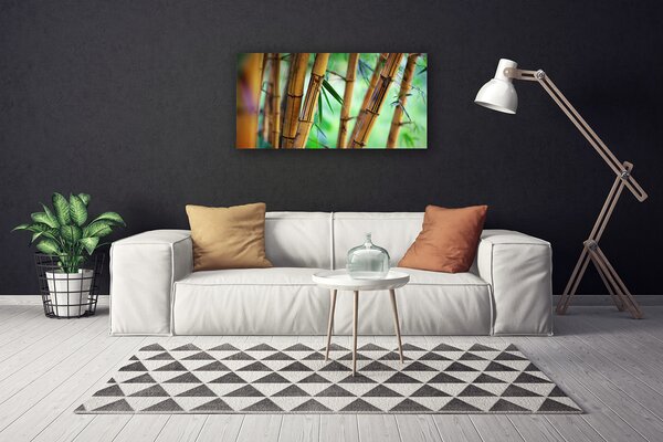 Obraz na plátne Bambus príroda rastlina 100x50 cm