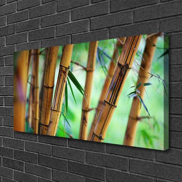 Obraz na plátne Bambus príroda rastlina 100x50 cm