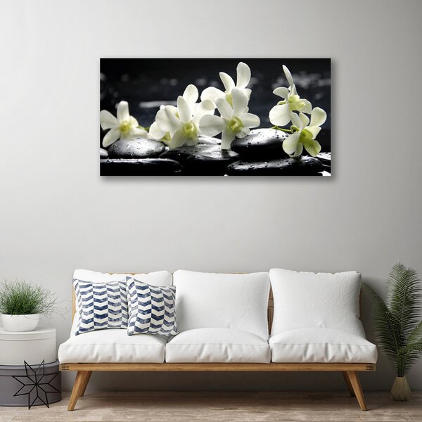 Obraz na plátne Kvet kamene rastlina 100x50 cm