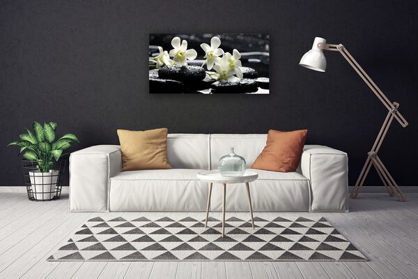 Obraz na plátne Kvet kamene rastlina 100x50 cm