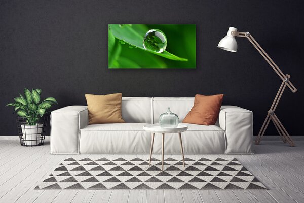 Obraz na plátne List voda kvapka rastlina 100x50 cm