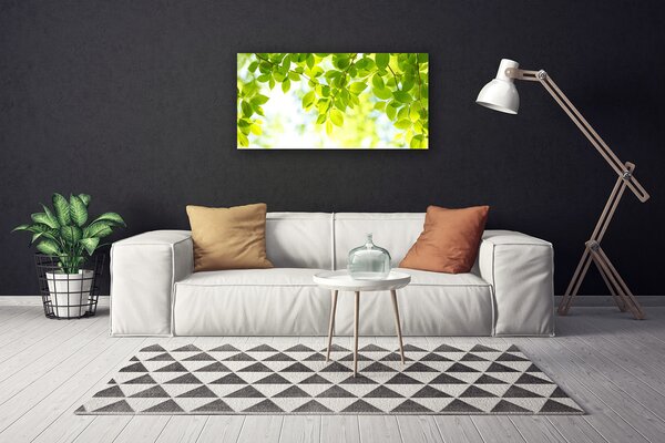 Obraz na plátne Listy príroda rastlina 100x50 cm