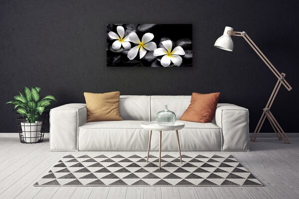Obraz na plátne Kvet kamene rastlina 100x50 cm