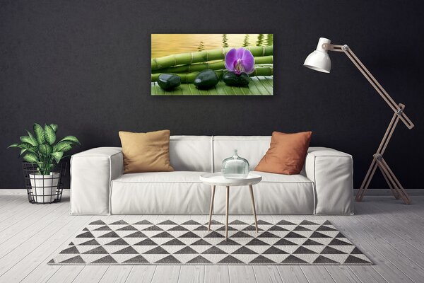 Obraz na plátne Kvet kamene bambus príroda 100x50 cm