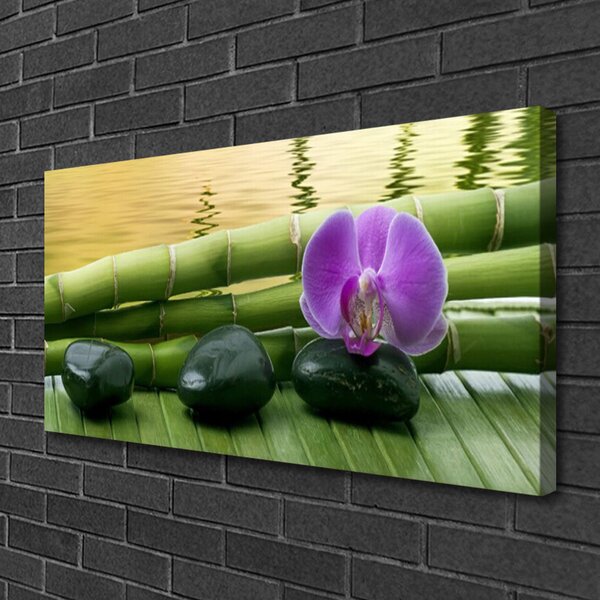 Obraz na plátne Kvet kamene bambus príroda 100x50 cm