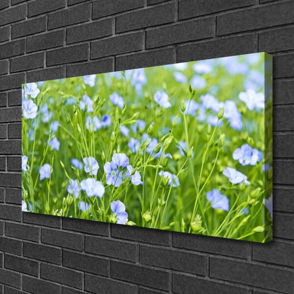 Obraz na plátne Kvety tráva rastlina príroda 100x50 cm