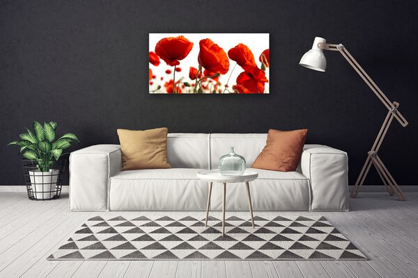 Obraz na plátne Maky rastlina príroda 100x50 cm