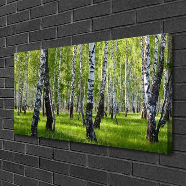 Obraz na plátne Les príroda 100x50 cm