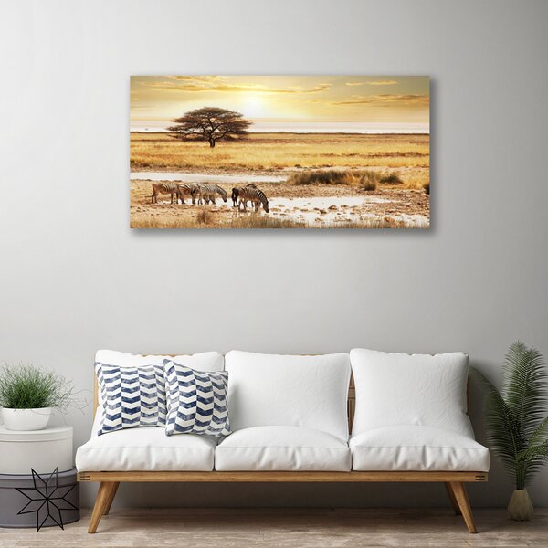 Obraz na plátne Púšť krajina 100x50 cm