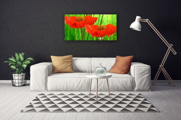 Obraz na plátne Maky rastlina príroda 100x50 cm