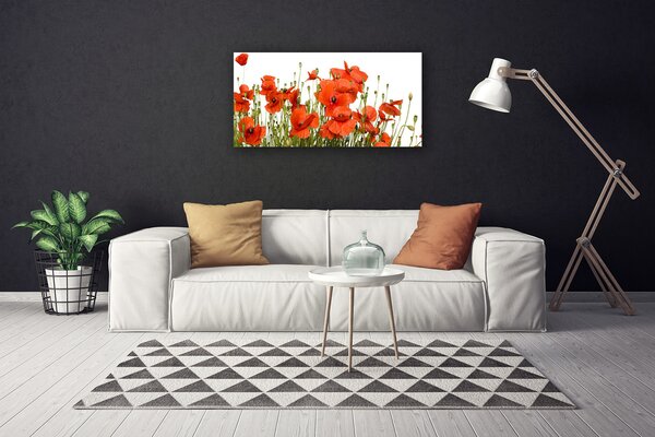 Obraz na plátne Maky rastlina príroda 100x50 cm