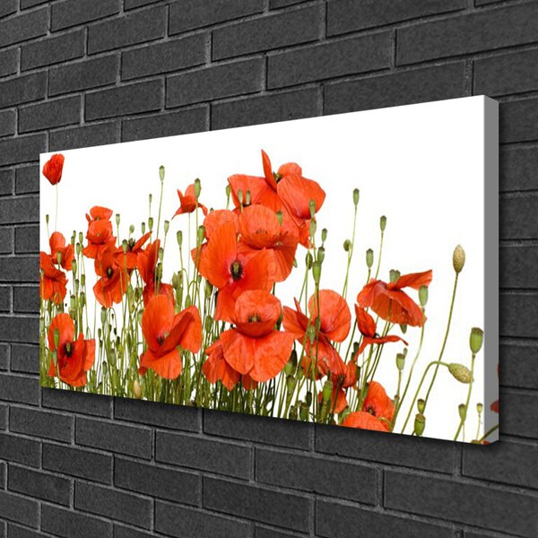 Obraz na plátne Maky rastlina príroda 100x50 cm