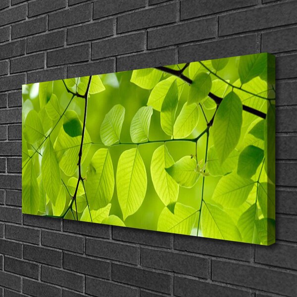Obraz na plátne Listy príroda rastlina 100x50 cm