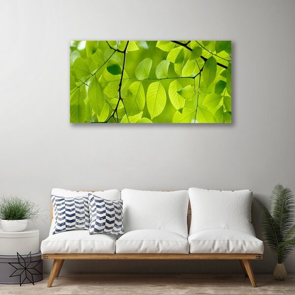 Obraz na plátne Listy príroda rastlina 100x50 cm