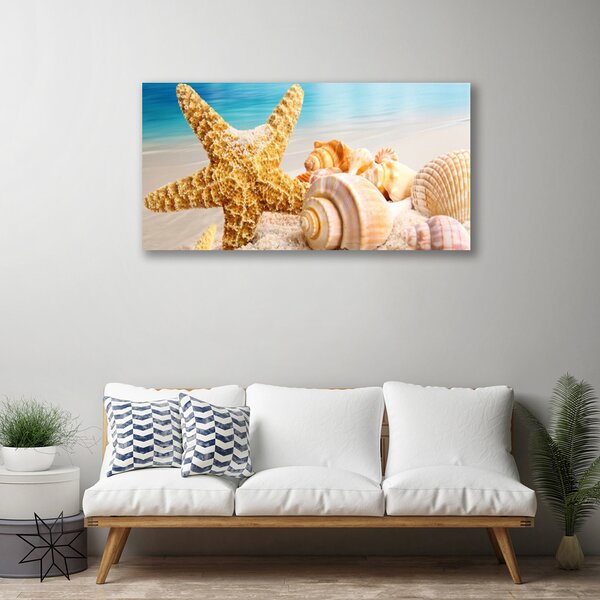 Obraz na plátne Hviezdice mušle umenie 100x50 cm