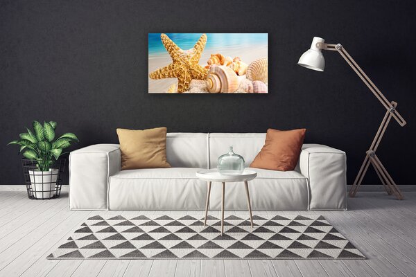 Obraz na plátne Hviezdice mušle umenie 100x50 cm