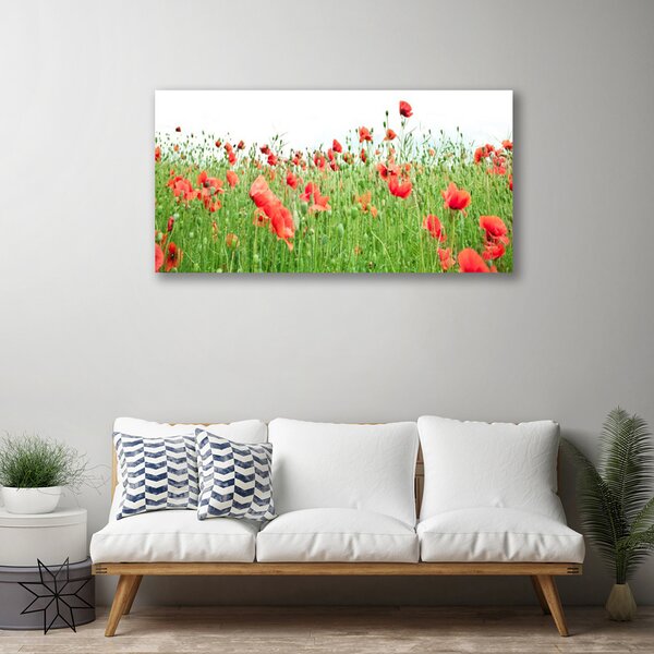 Obraz na plátne Maky rastlina príroda 100x50 cm