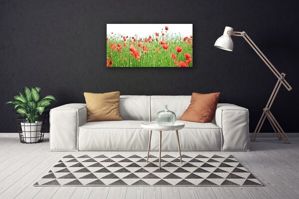Obraz na plátne Maky rastlina príroda 100x50 cm
