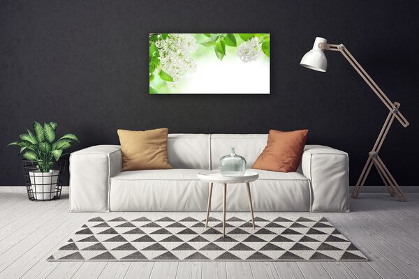Obraz na plátne Plátky rastlina príroda 100x50 cm