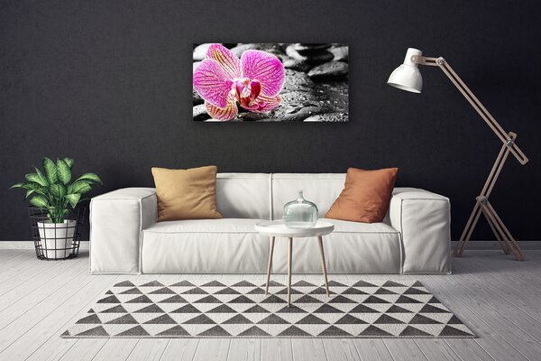Obraz na plátne Kvet kamene rastlina 100x50 cm