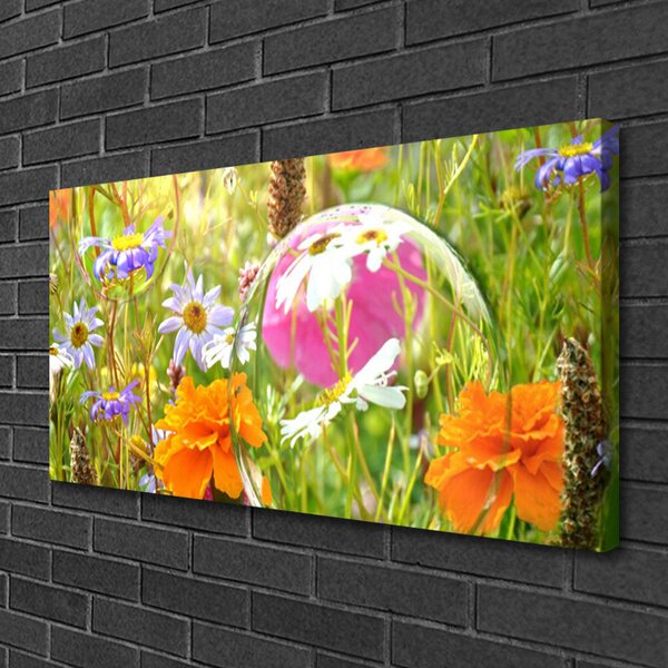 Obraz na plátne Kvety rastlina príroda 100x50 cm