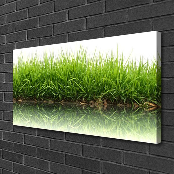 Obraz na plátne Tráva príroda rastlina 100x50 cm