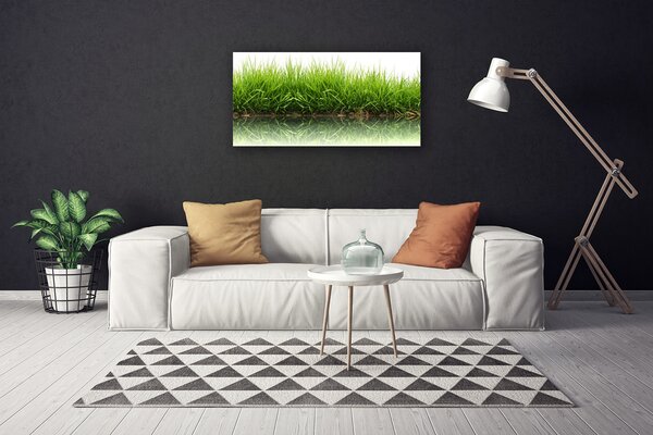 Obraz na plátne Tráva príroda rastlina 100x50 cm