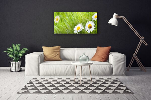 Obraz na plátne Tráva sedmokrásky príroda 100x50 cm